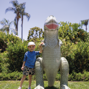 48593 JURASSIC DINO PALS